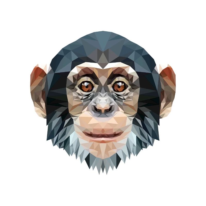 Polygon design monkey chimpanzee