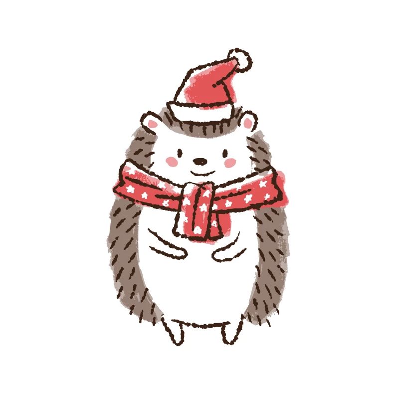 Weihnachten Igel Weihnachtsmütze Weihnachtsmann