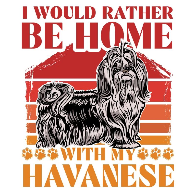 I would rather be home with my Havanese