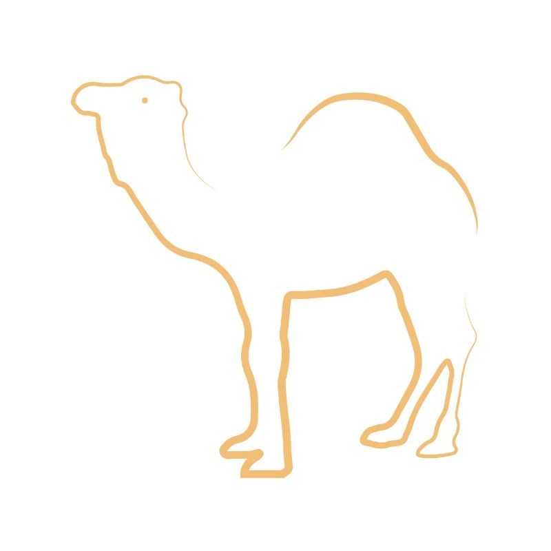 Kamel Camel Dromedar