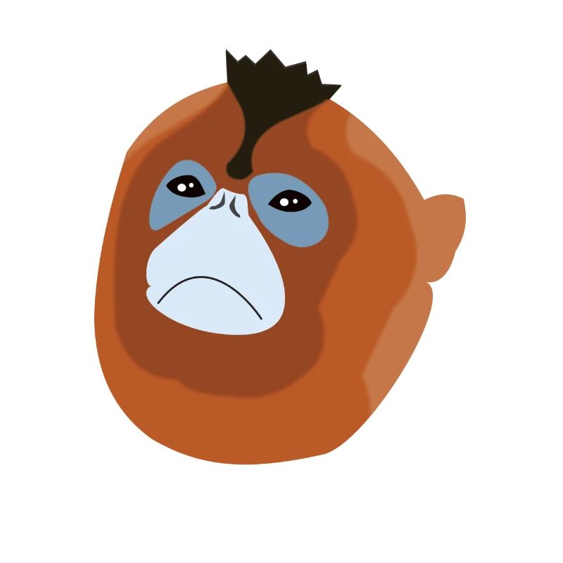 Espèce de singe singe à nez de souche