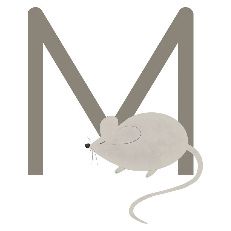 M - MAUS - ABC, Alphabet, Buchstabe, Tier, Name