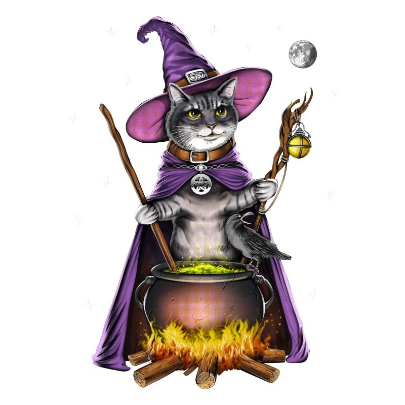 Sorcière du chat
