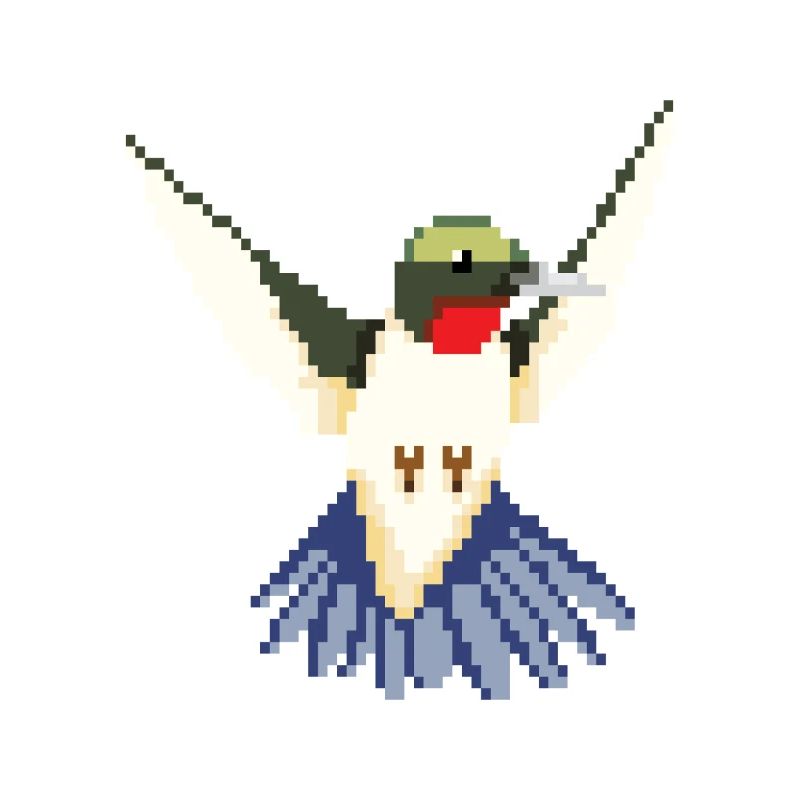 Kolibri Seglervögel Vögel Vogel Tier Geschenk