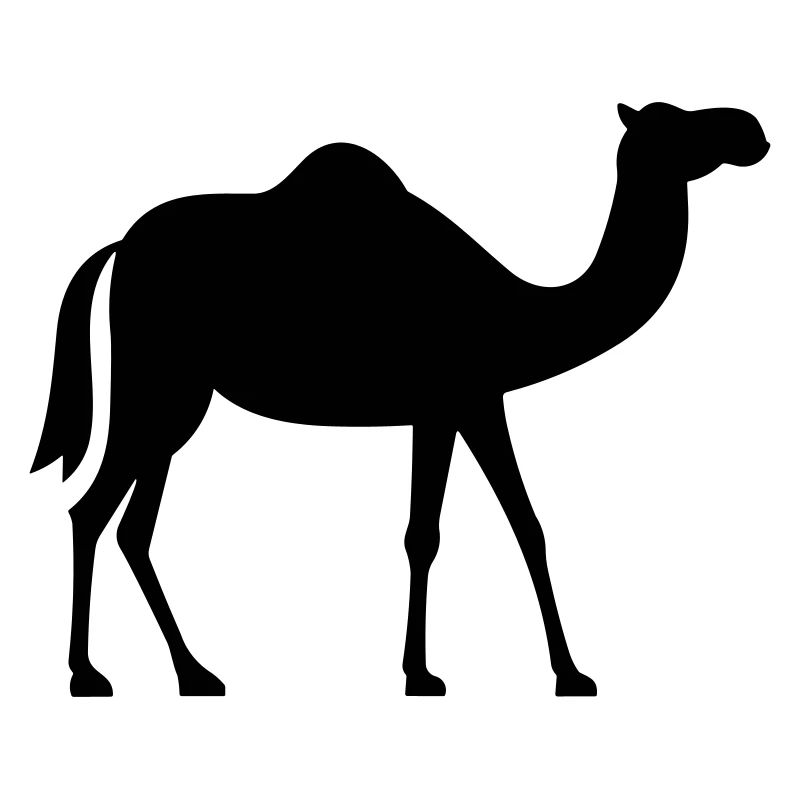 Camel