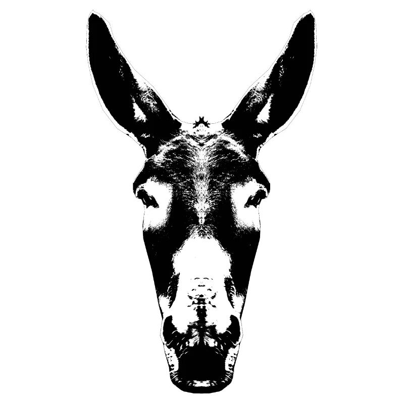 Donkey / Head / Mule / Head