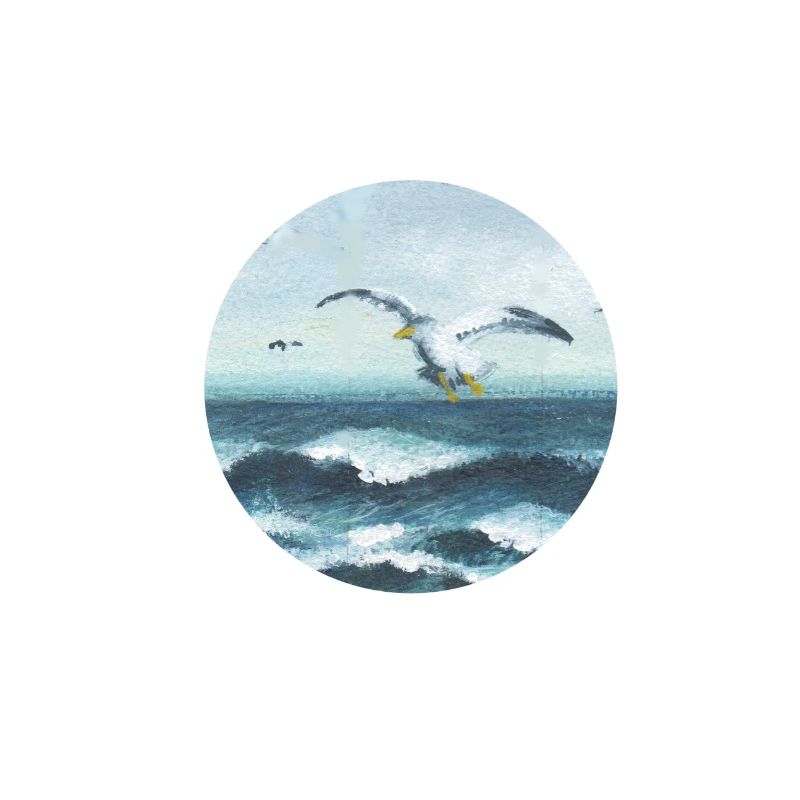 seagulls