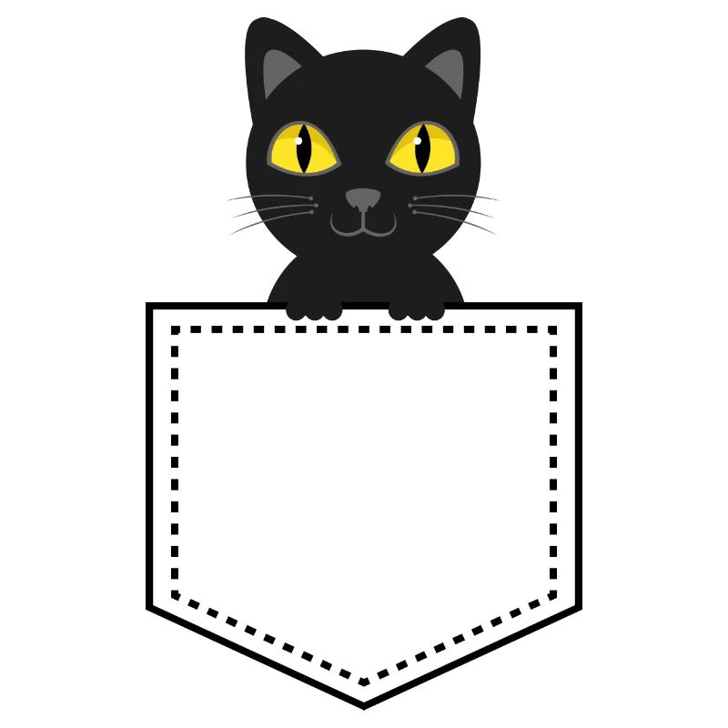Taschentier schwarze Katze
