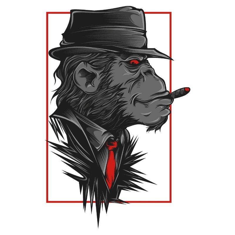 Monkey with hat and collar
