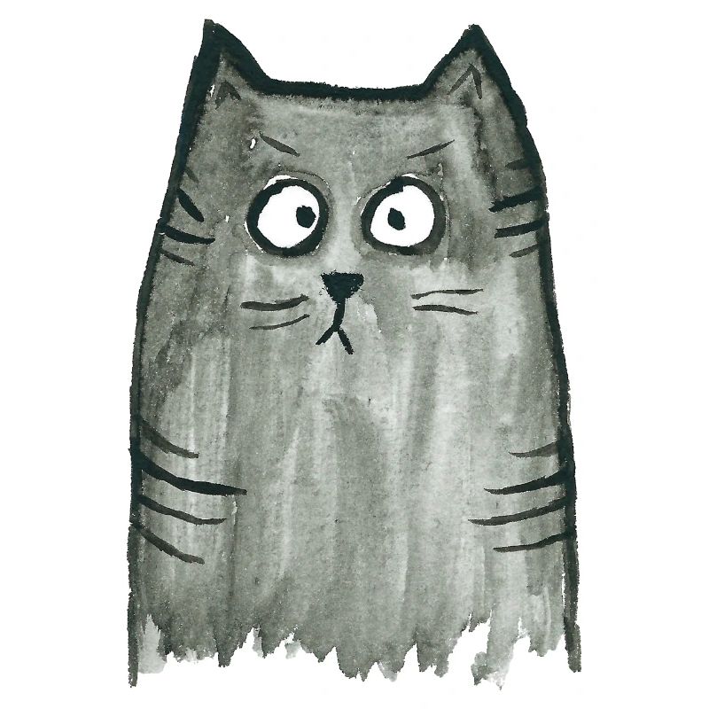Katze grau getigert