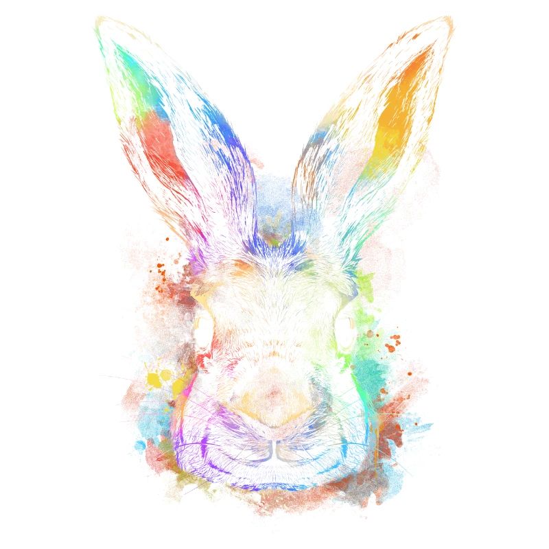 Colorful Rabbit Rabbit Face Rammler Rabbit Rabbit Breeding