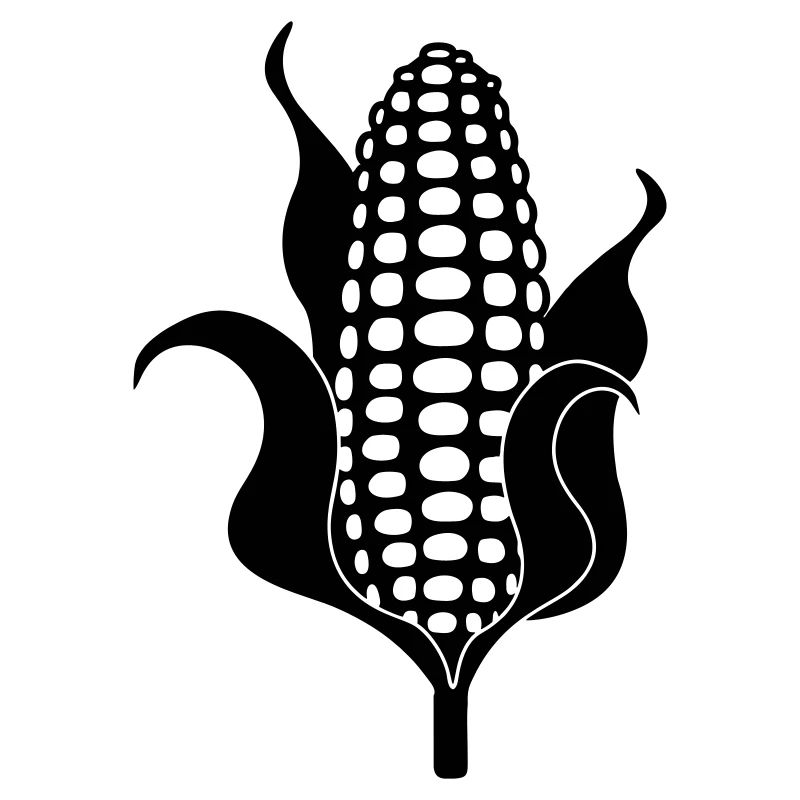 Corn cob