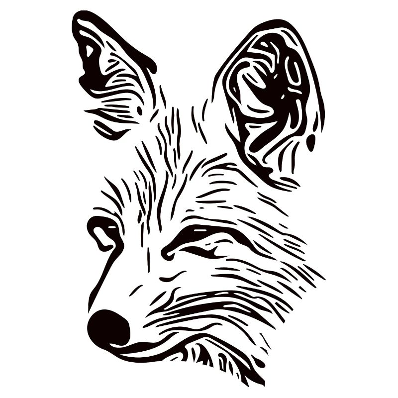 Fox Portrait Drawing