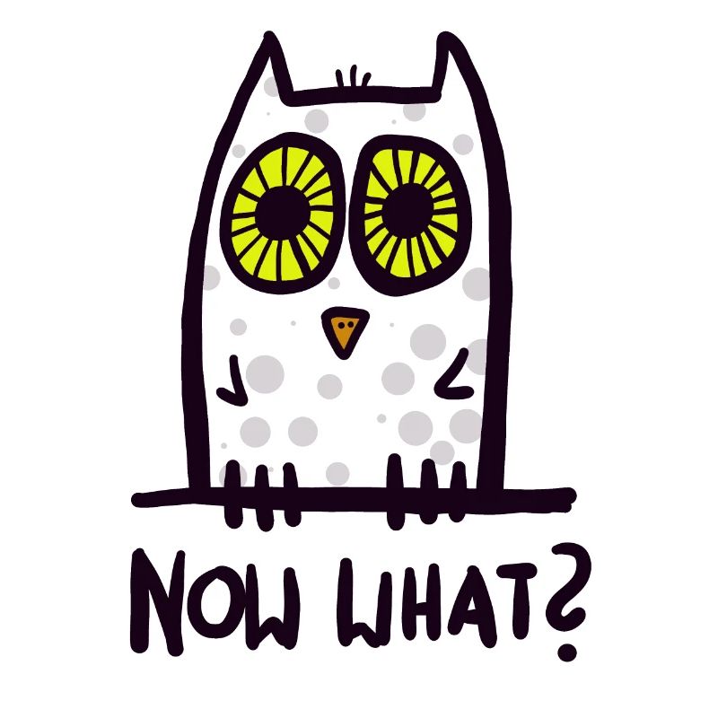 now what? lustige Eule