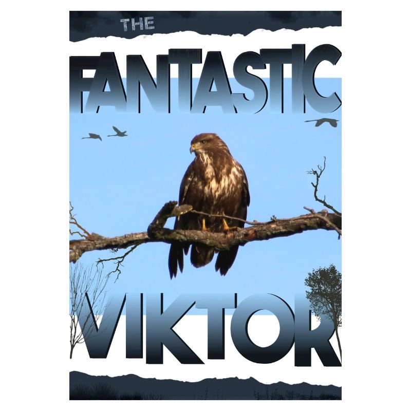 Viktor Anniversaire Viktor