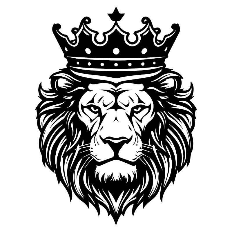 Lion Lion Head Predator