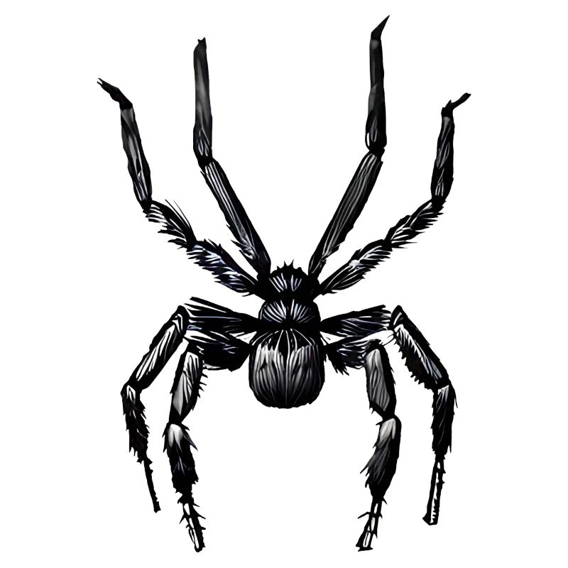 Spinne