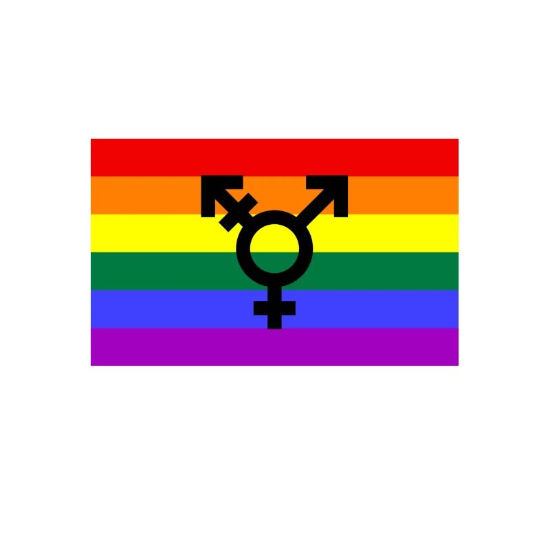 Pride Flagge mit Geschlechterzeichen