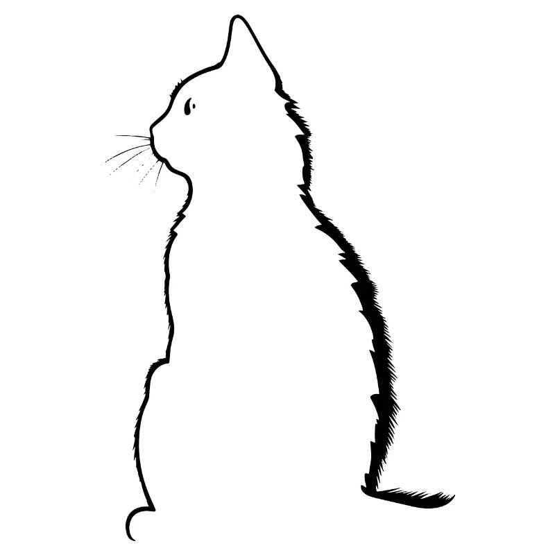 Chat, Motif De Chat