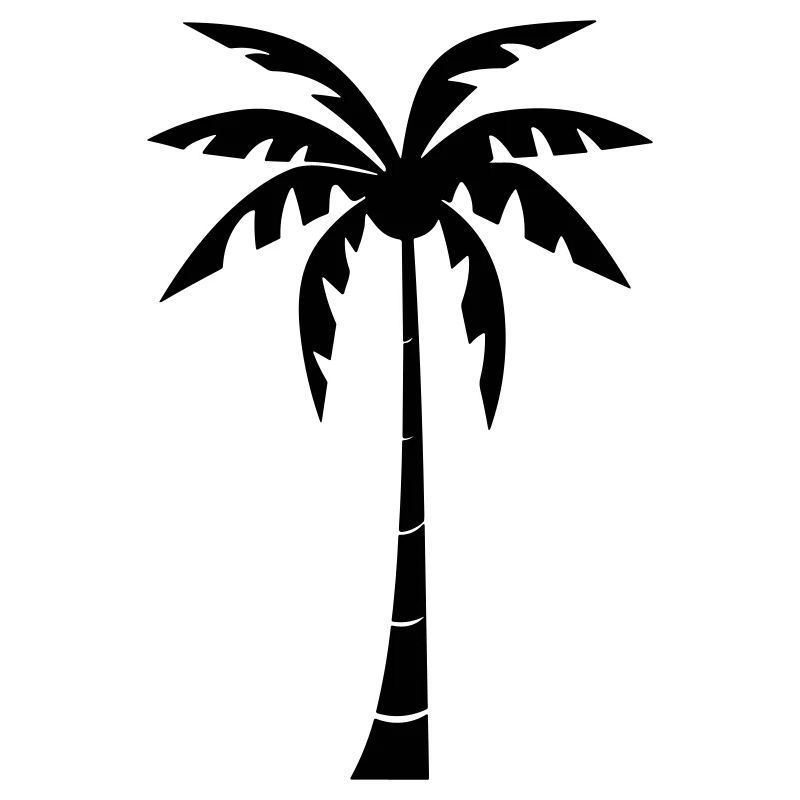 palm tree