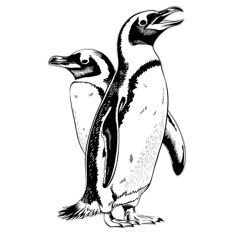 Pingouin