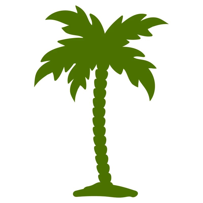 palm tree