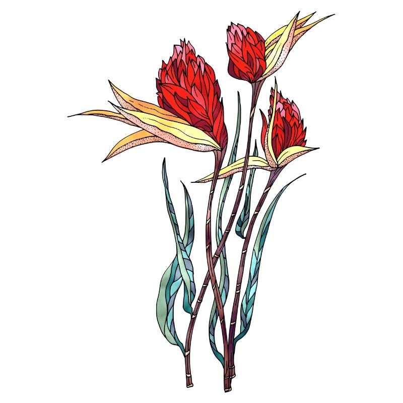 Blumen