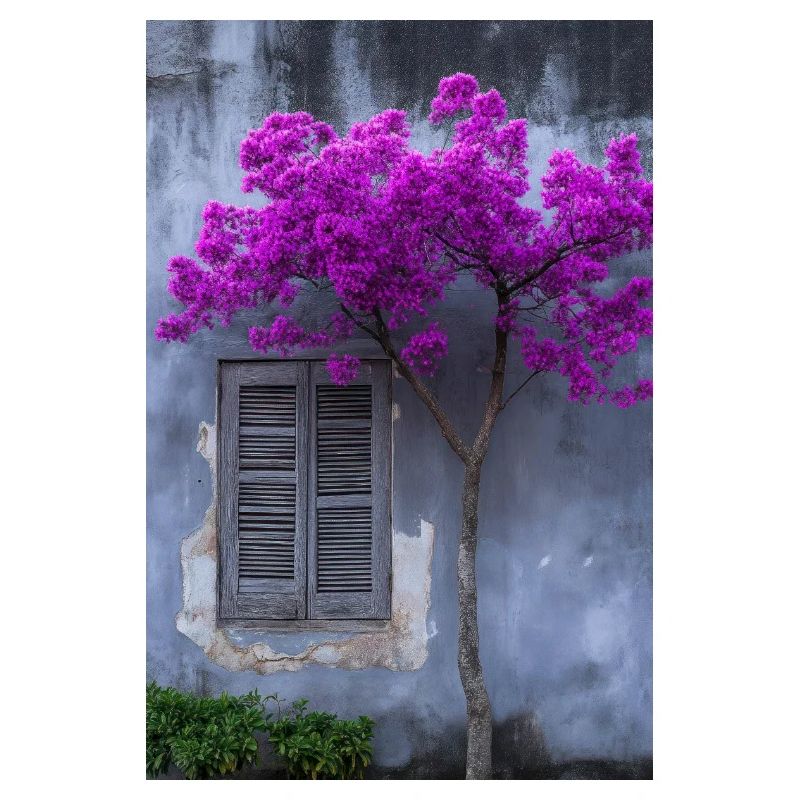 Lebendige Blüte vor rustikaler Wand