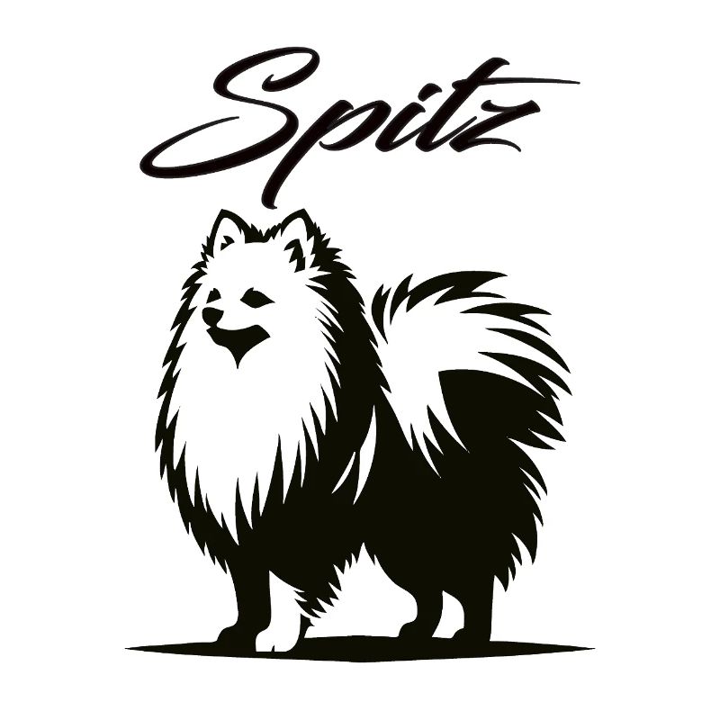 Spitz Design – The Charming Whirlwind