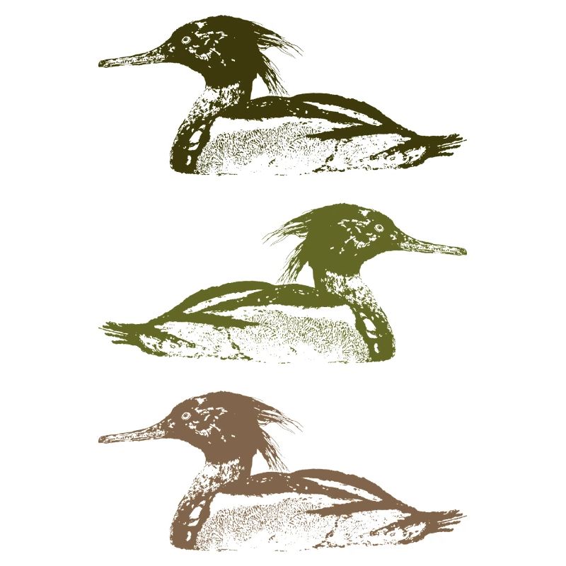 MERGUS