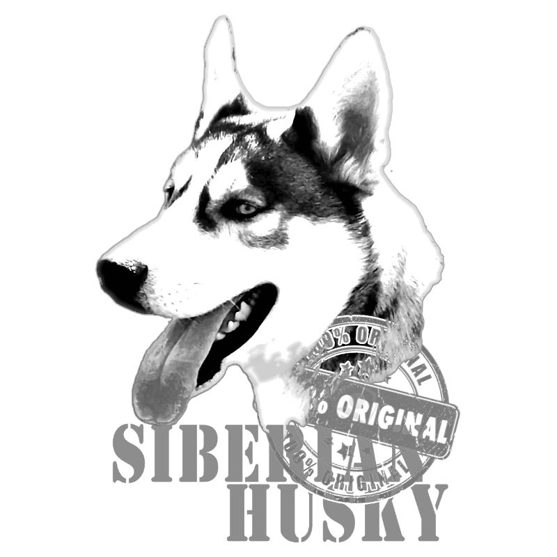 Impression monochrome Husky sibérienne 100 % originale
