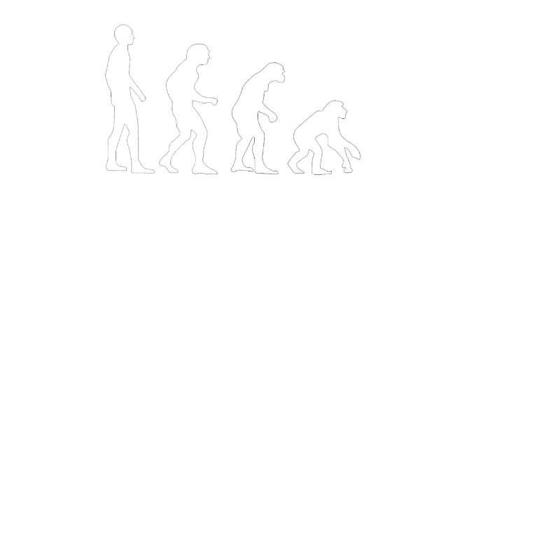 USA Evolution Backwards