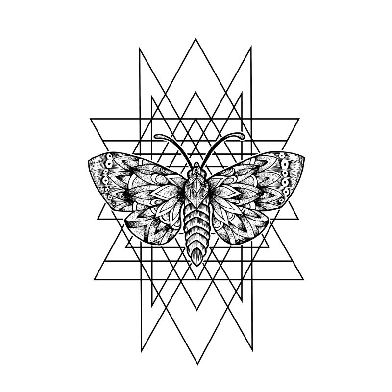 Moth geometry