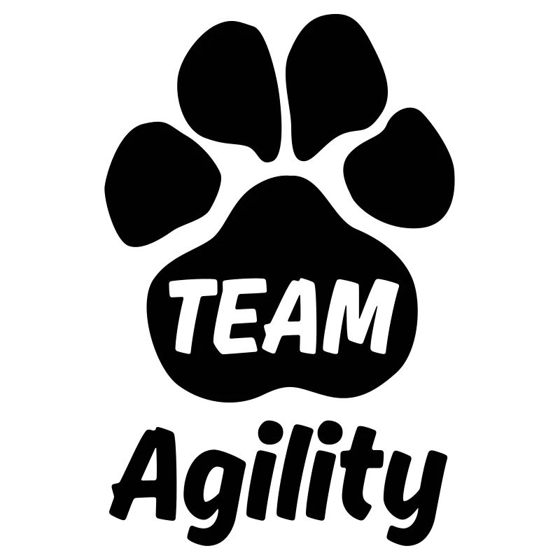 Team Agility