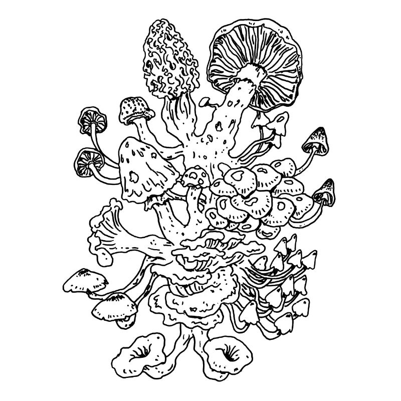 champignons