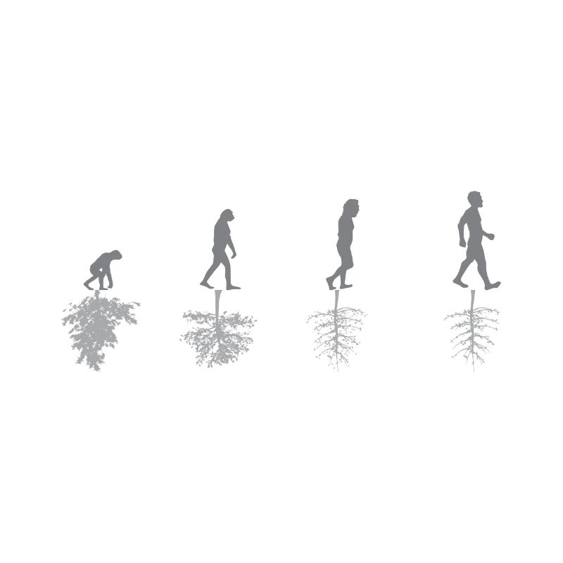 Evolution - Umwelt - Sarkasmus - Natur - Geschenk