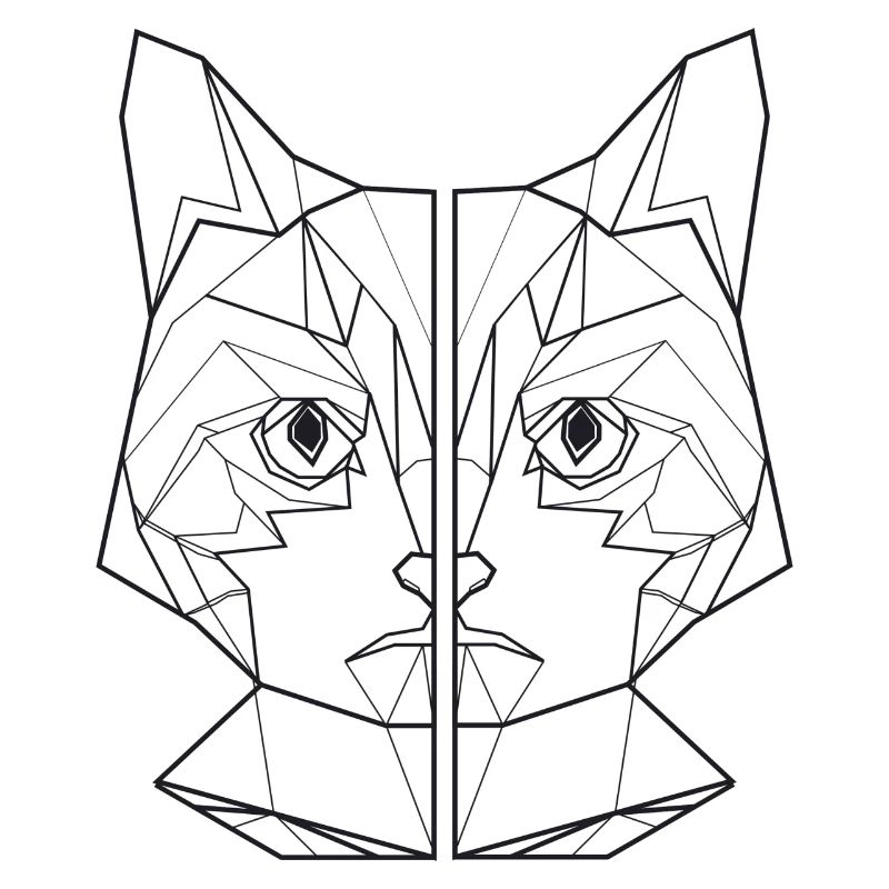 ami de chat, amant de chat, chemise de chat