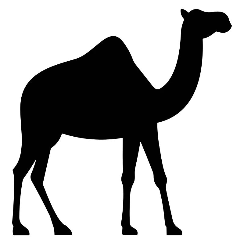 Camel