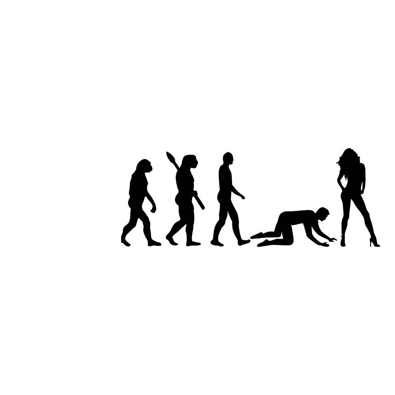 Evolution Ehe