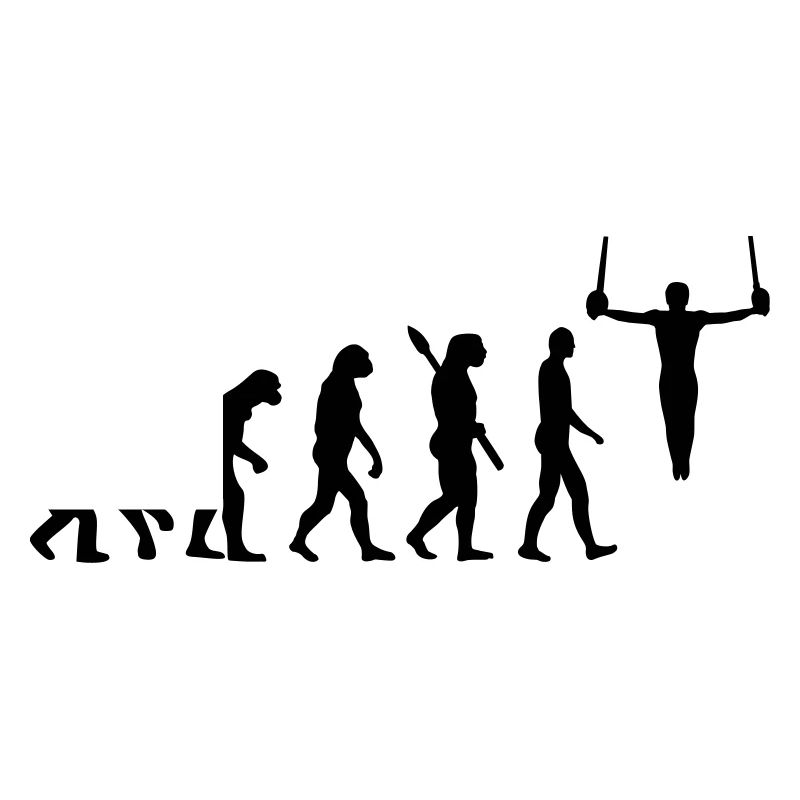 Évolution Gymnastique