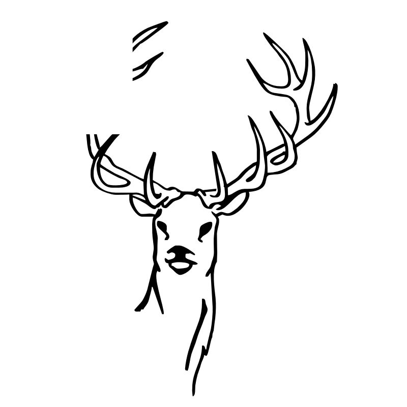 Hirsch