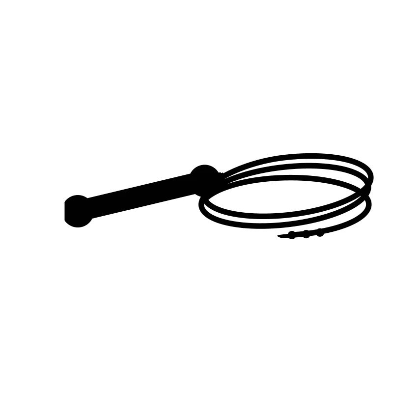 Whip + own text