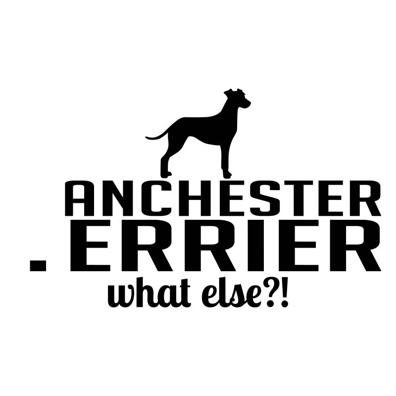 MANCHESTER TERRIER what else