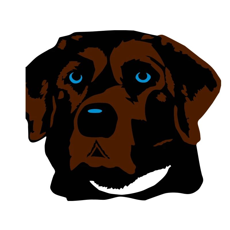 Labrador braun, blond oder schwarz