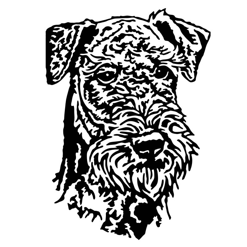 308 Airedale Terrier