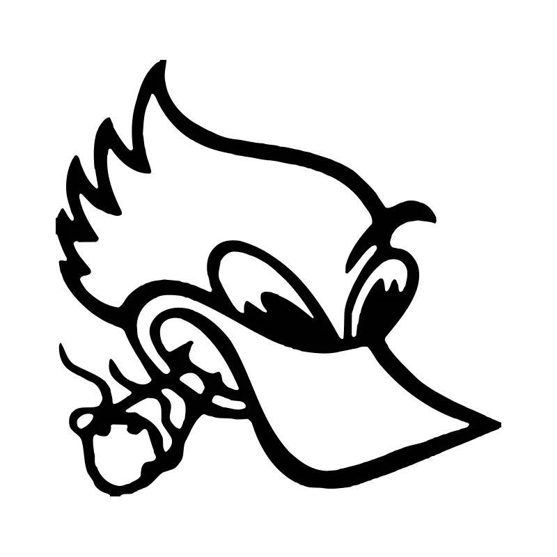 Smoking Duck