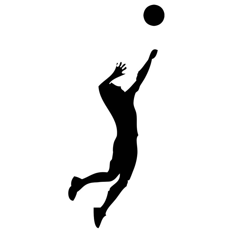 volleyball