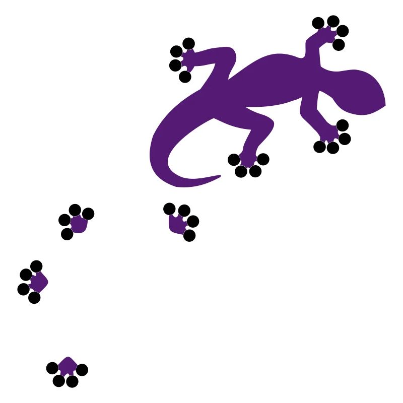 Gecko - 2c