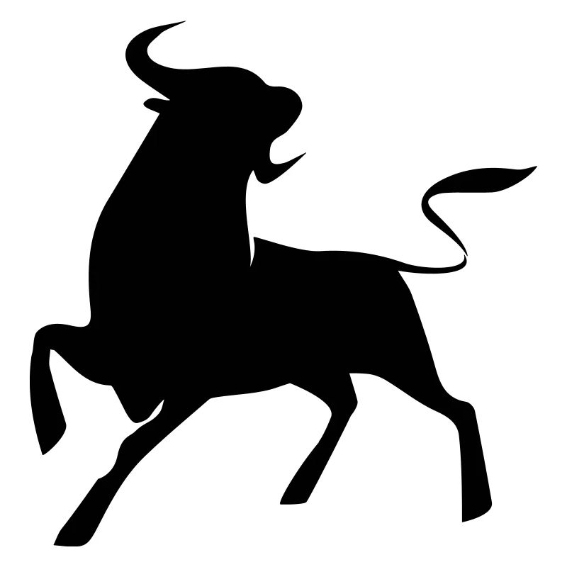 TORO FURIOSO