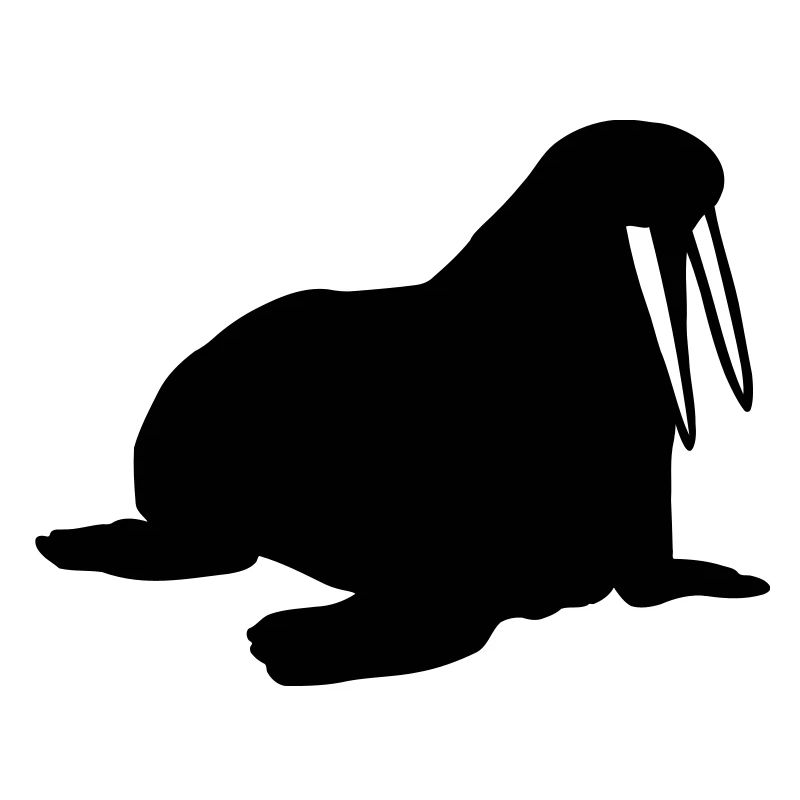 Walrus